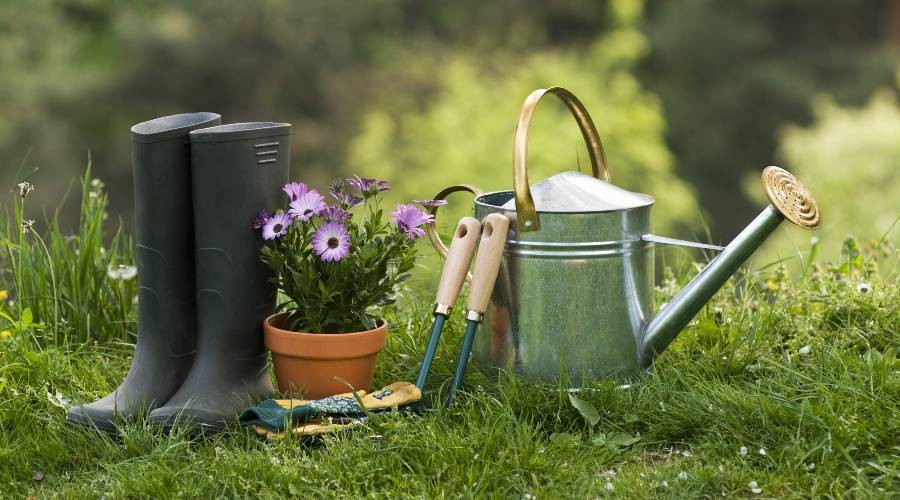 Gazon aanleggen in je tuin